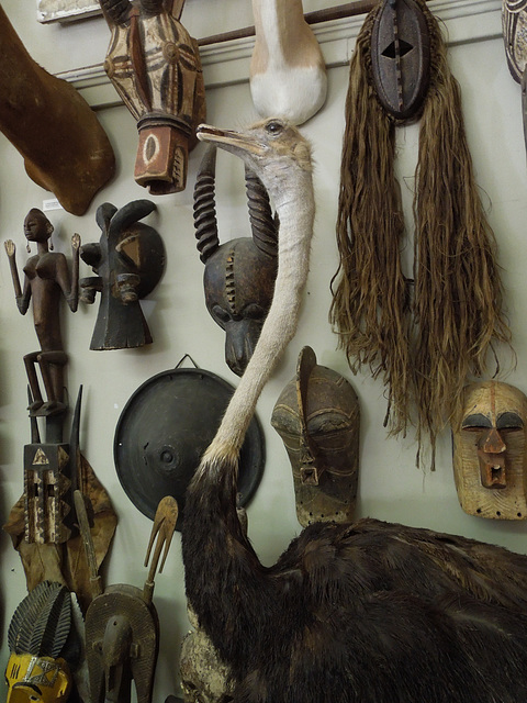 from the cabinet of curiosities - i
