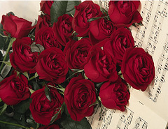 Des roses rouges pour le cœur !