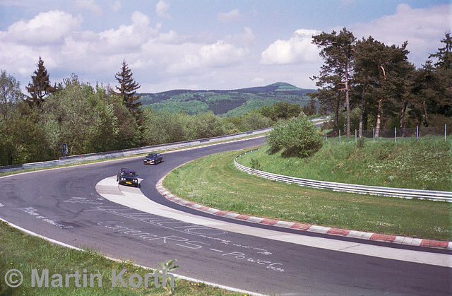 Schwalbenschwanz F1 B09 c