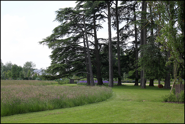 Pré de Goualoup (2)