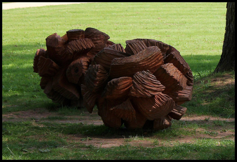 Fruits fantastiques de Marc Nucera