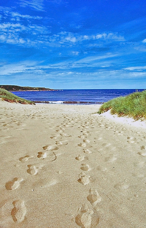Footprints in the Sand