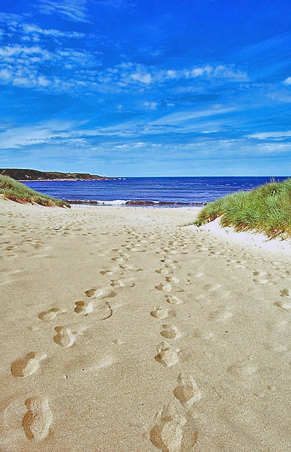 Footprints in the Sand
