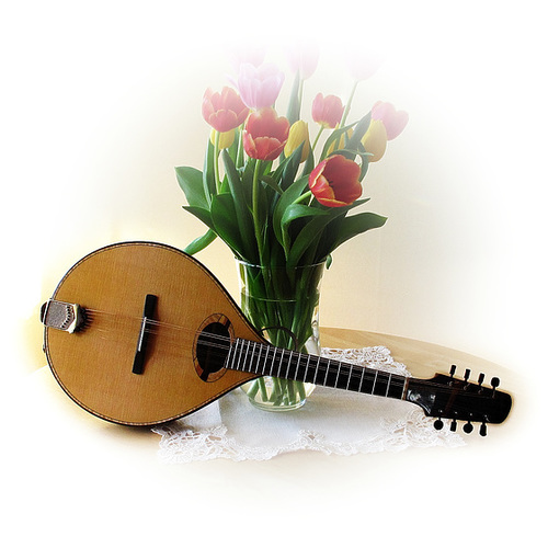 ~ Andrew's Mandolin ~