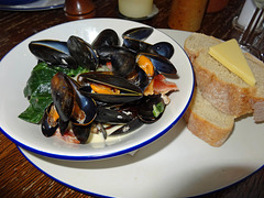 Mussels