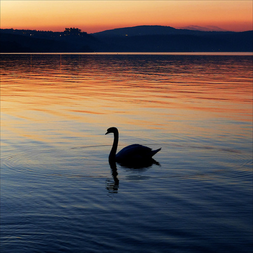 Twilight at the lake.