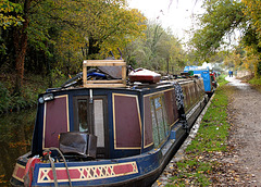Kennet & Avon Canal near Bradford-on-Avon