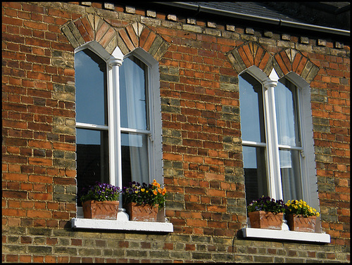 Cranham Street windows