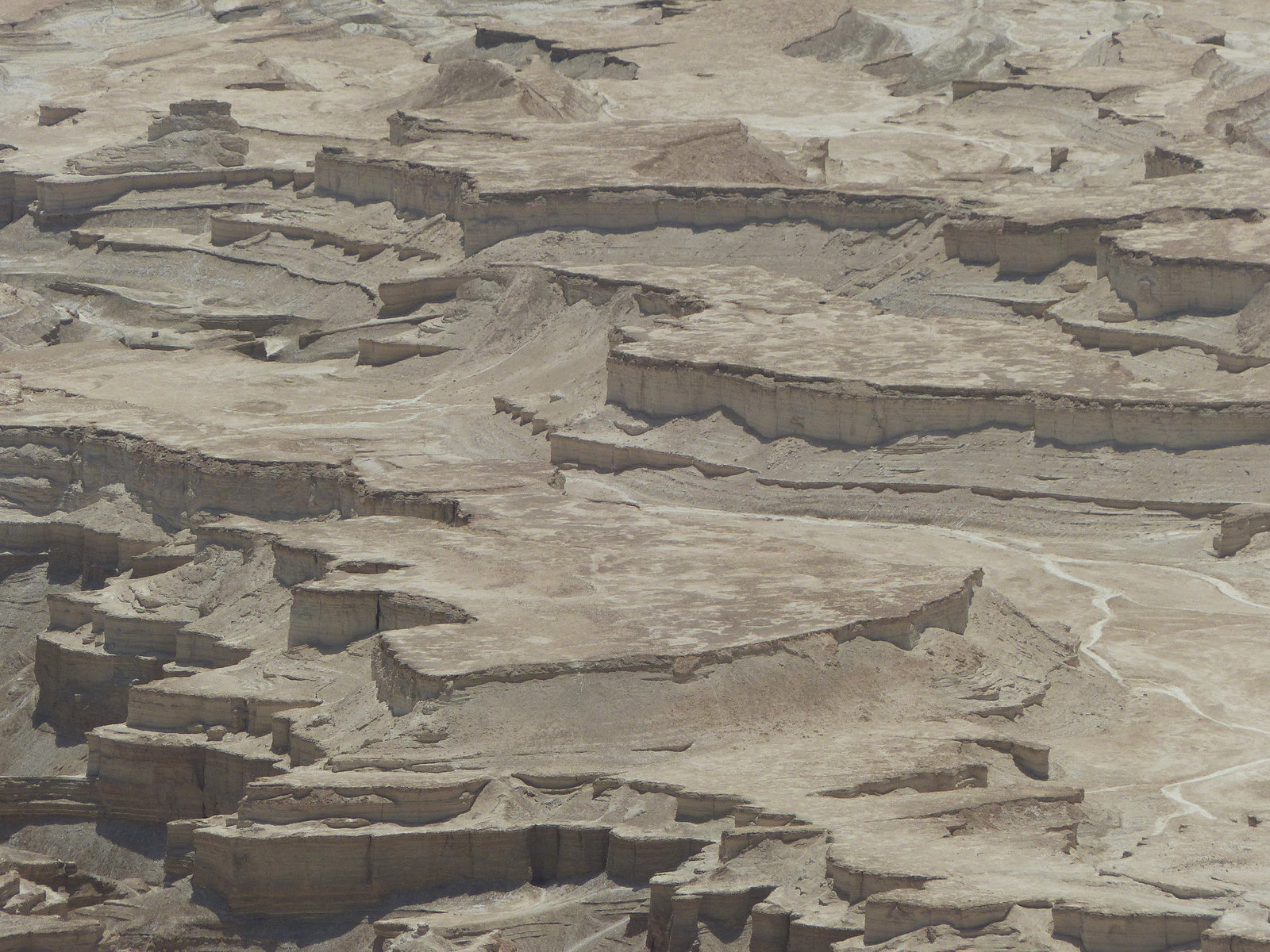 Masada (7) - 20 May 2014