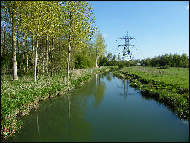 Hinksey Stream