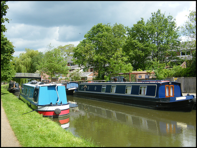 canalside trees at WP