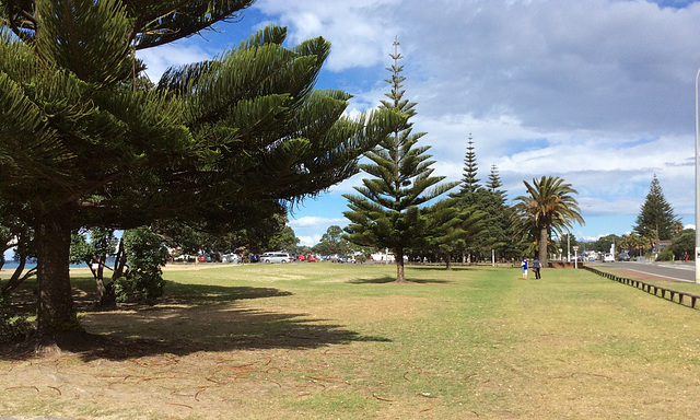 Orewa