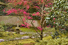 In the Tea Garden – Japanese Garden, Portland, Oregon