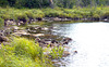 Swamper Lake
