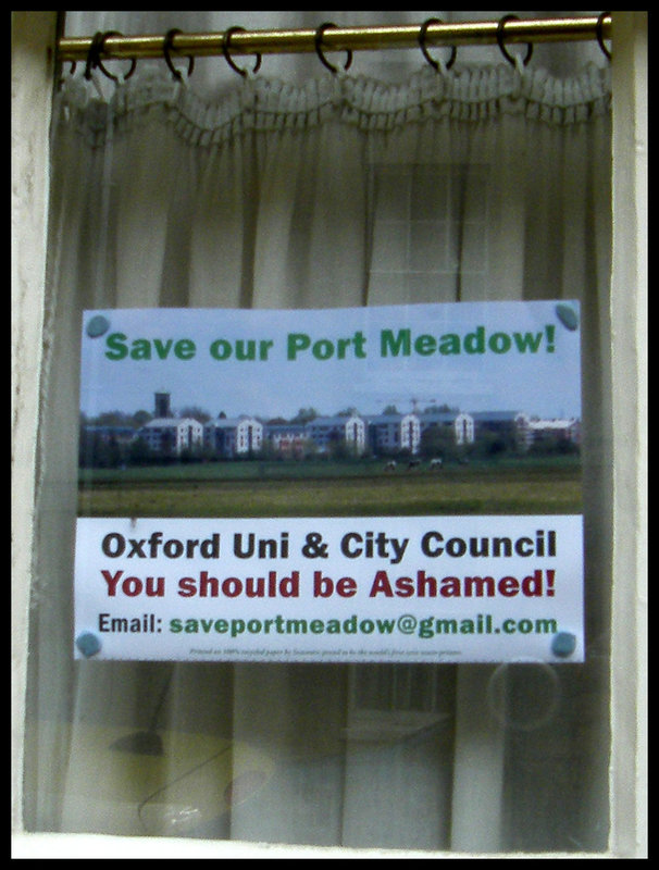 Save Port Meadow poster