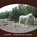 Horse & cart sculpture - Amberley - 29.8.2013