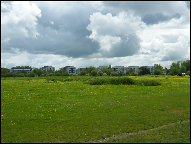 university blocks the skyline