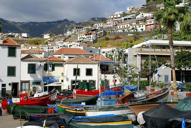 Madeira, Im Hafen von Camara de Lobos. ©UdoSm