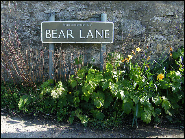Bear Lane street sign
