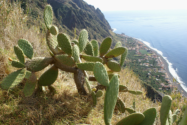 Tour: Paso Encumeada - Paul da Serra - Porto Moniz - Funchal  ©UdoSm