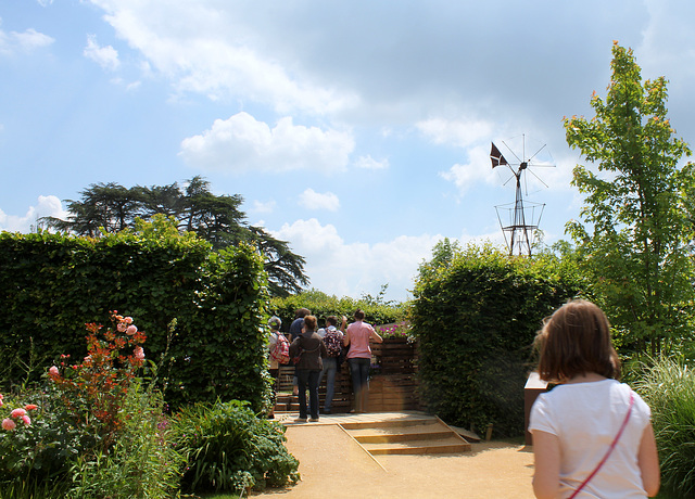 Le Jardin des poules (15)