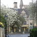 Oxford spring