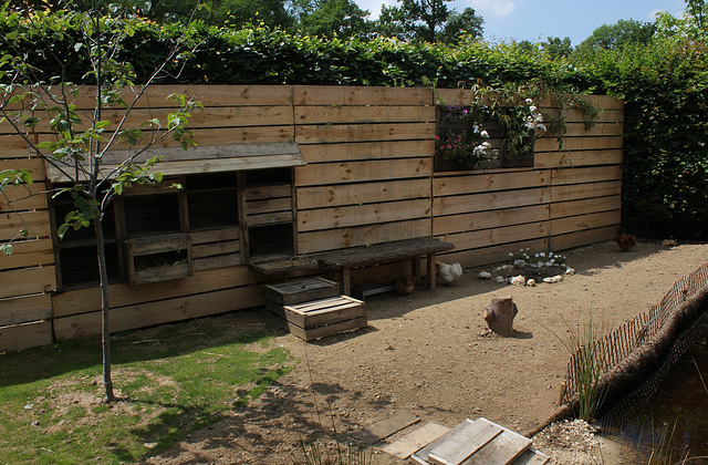 Le Jardin des Poules-Le coin des poules (5)