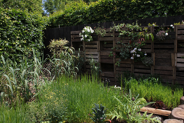 Le Jardin des Poules-Potager (2)