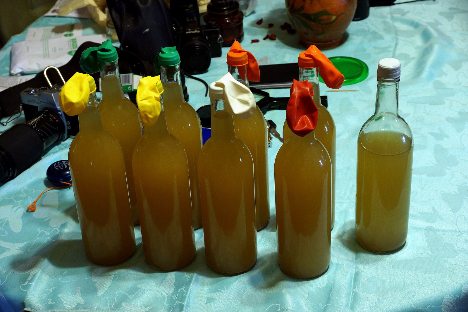 Dandelion Wine, Second Batch