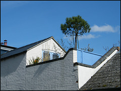 Jericho roof garden