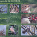 parc aux oiseaux Villars les Dombes