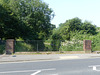 Hermitage Stream (2) - 24 June 2014
