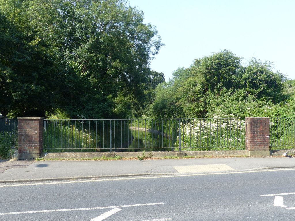 Hermitage Stream (2) - 24 June 2014