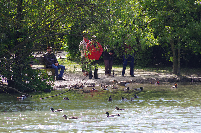 parc aux oiseaux Villars les Dombes