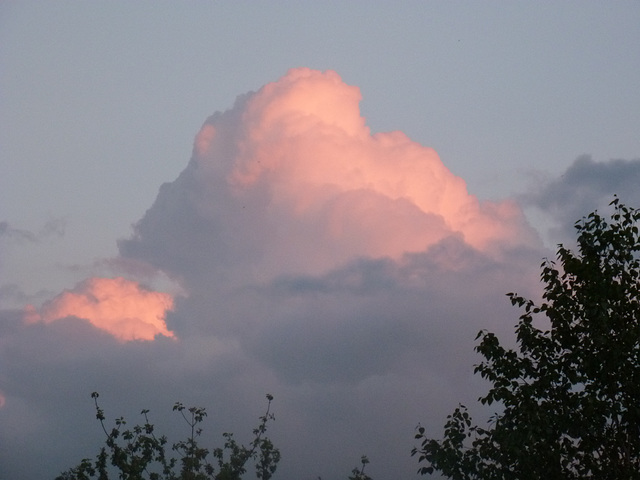 Pink Clouds