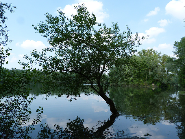 Badestelle am Natursee