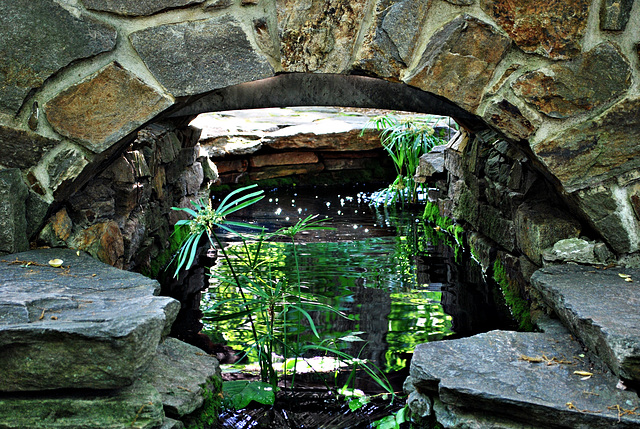 Water Under the Bridge