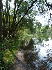 Badestelle am Natursee