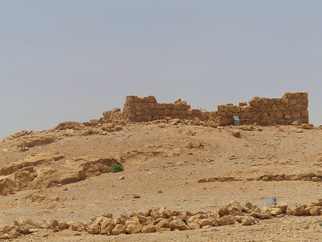 Masada (13) - 20 May 2014