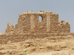 Masada (15) - 20 May 2014