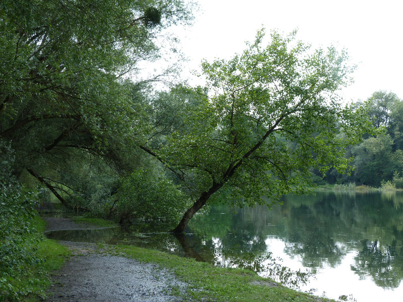 Badestelle am Natursee