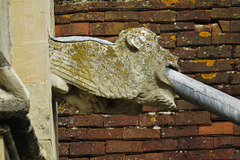 chichester cathedral