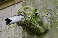 chichester cathedral