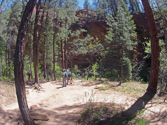 0502 105558 West Fork Oak Creek