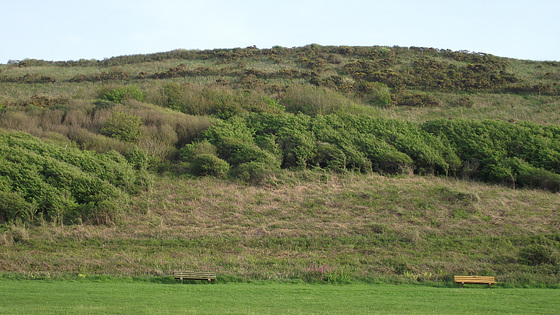 Part of the Tors