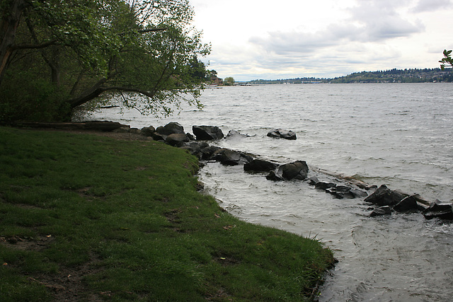 Lake Washington