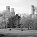 Abbaye de Jumièges