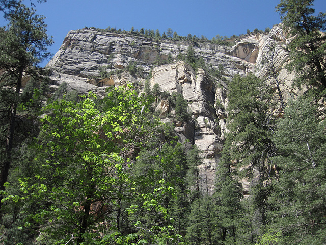 0502 110414 West Fork Oak Creek