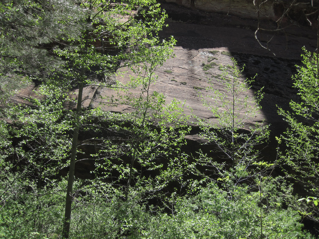 0502 111412 West Fork Oak Creek