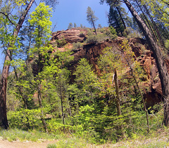 0502 114518 West Fork Oak Creek